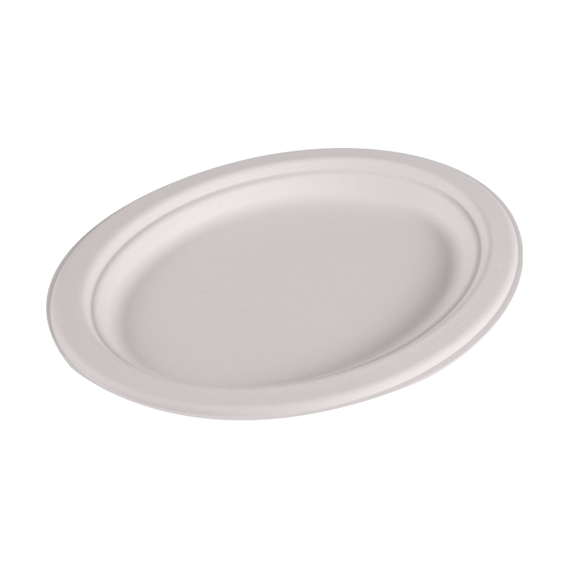 Compostable Disposable Bagasse circa Prandium Plate