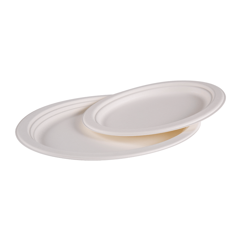 Compostable Disposable Bagasse circa Prandium Plate