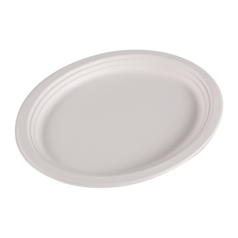 Compostable Disposable Bagasse circa Prandium Plate