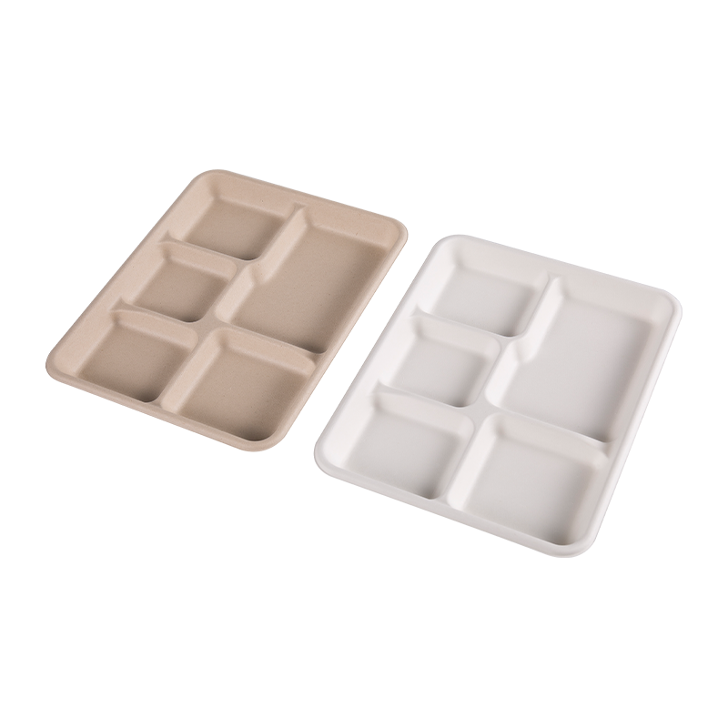 5 Compartment Disposable Paper Tray School Prandium cibum continens