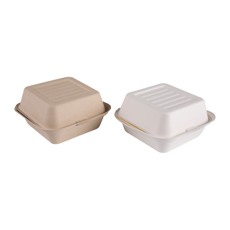 Sugarcane Bagasse Square Takeaway Burger Prandium continens