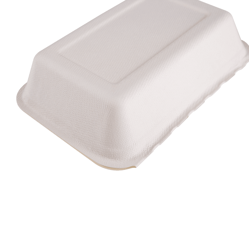 Biodegradable Disposable Flip Cover Takeout Prandium continens