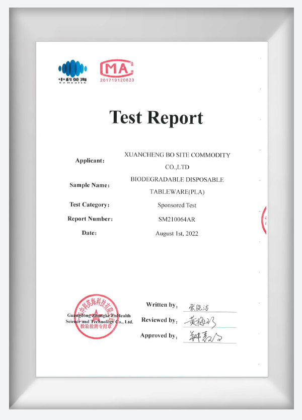 Test Report